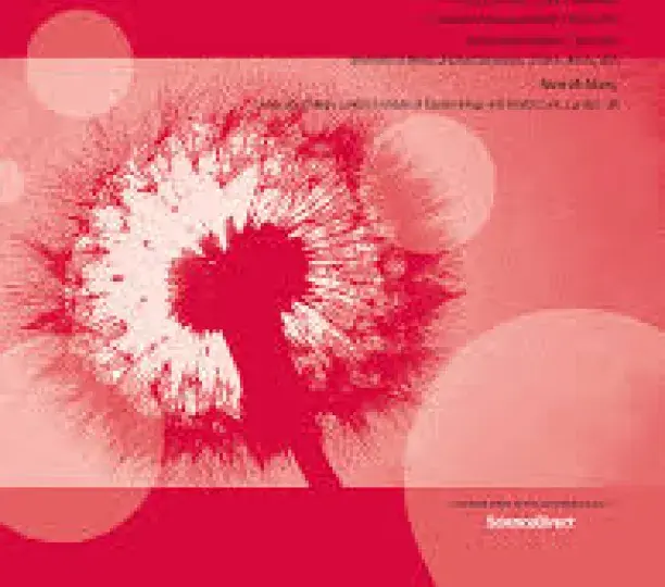 How conflict shapes the impact of infant and child mortality on fertility in the Democratic Republic of the Congo